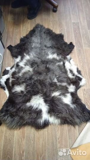 Продам овечьи шкуры