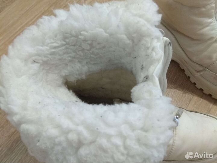 Дутики, зима