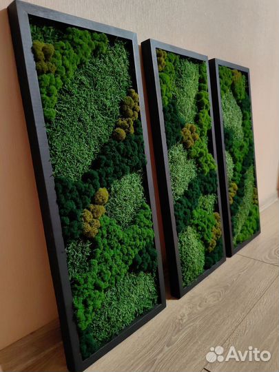 Зелёные картины, панно из мха