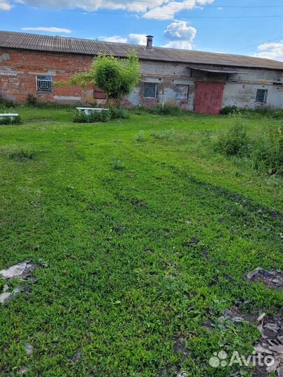 Ферма коровник