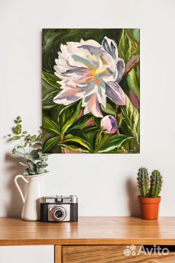 Душистый пион