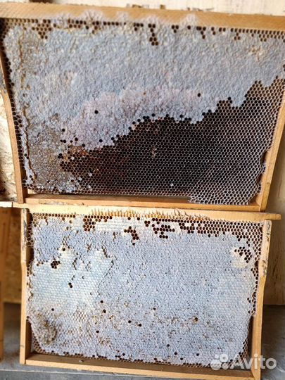 Рамки с сушью