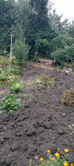 Дом 143 м² на участке 9,3 сот.