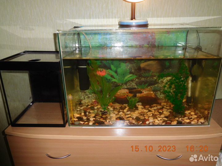 2 Аквариума бу