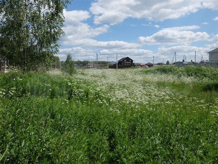 Участок 8 сот. (СНТ, ДНП)