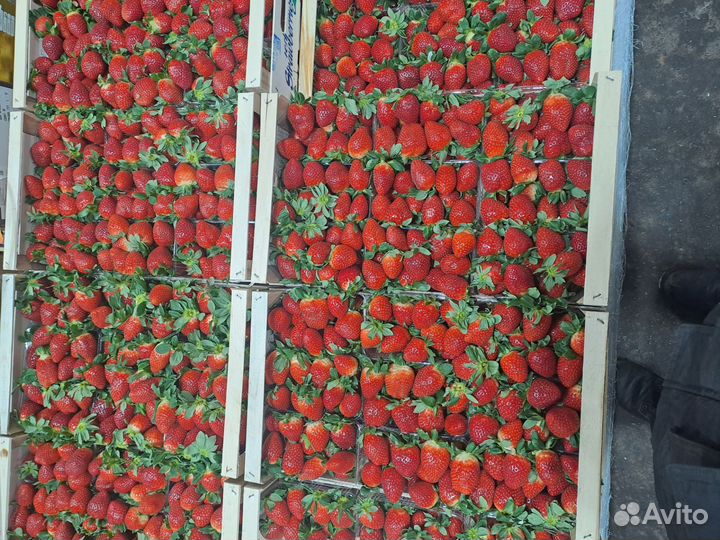 Фрукты и овощи и сухофрукты