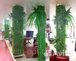 Фитокартины, фитостены, фитопотолки