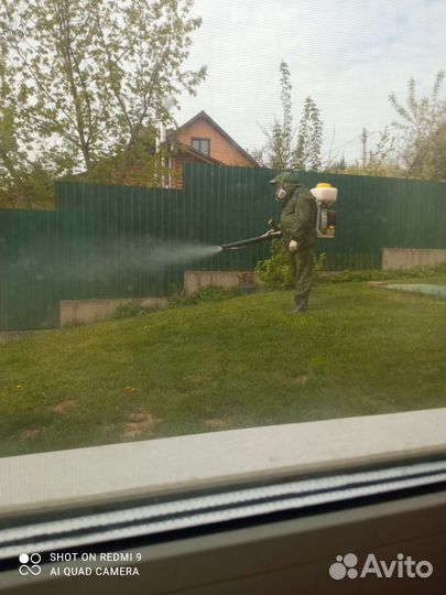 Передержка собак