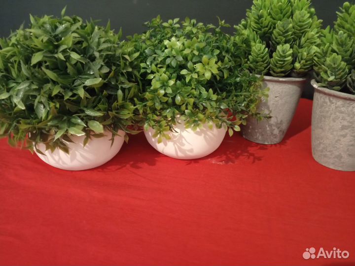 Искусственные растения в горшках