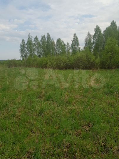 Участок 27 сот. (СНТ, ДНП)