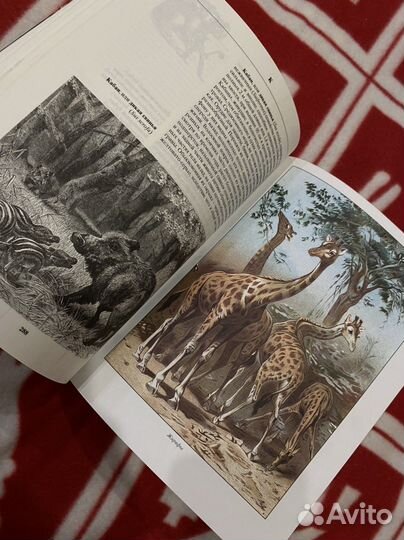 Книга про животных большая Брем новая
