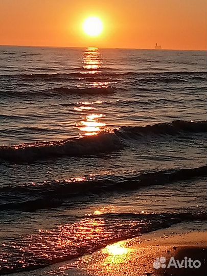 Водитель - гид