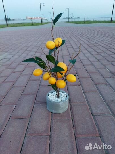 Искусственные цветы лимон, папоротник IKEA