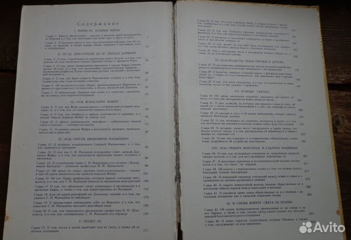 Книга про Ос