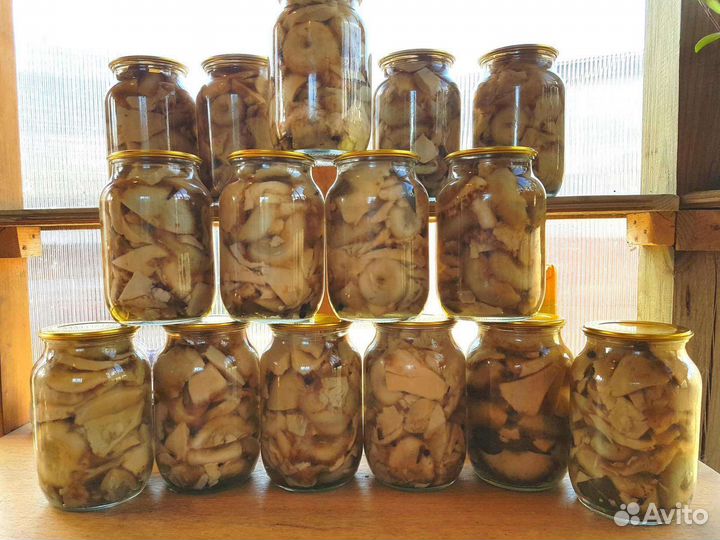 Грузди настоящие солёные