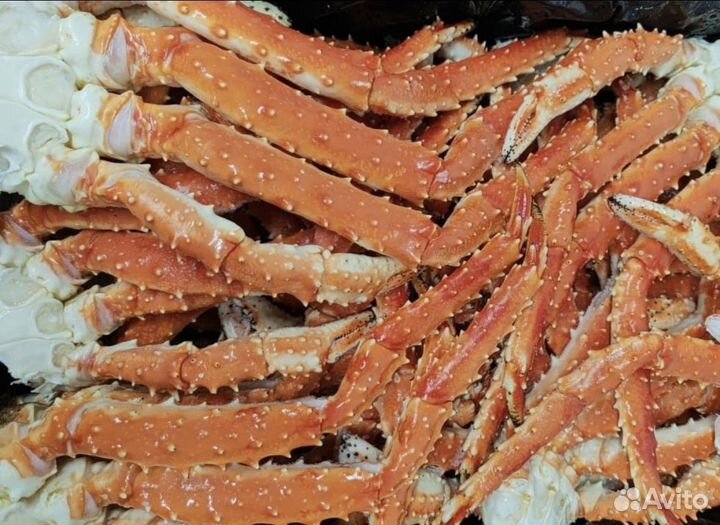 Клешни краба Камчатка, стригуна