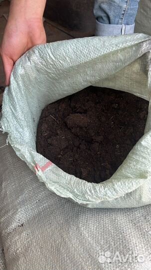 Конский навоз