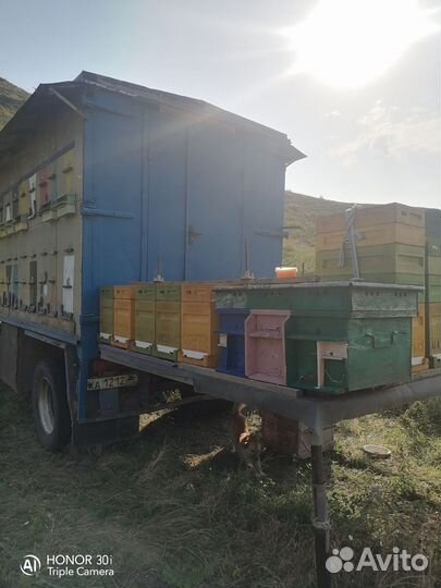 Прицеп кассетный для пчел