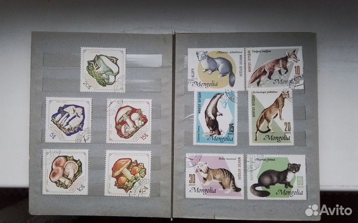 Почтовые марки.Флора и фауна