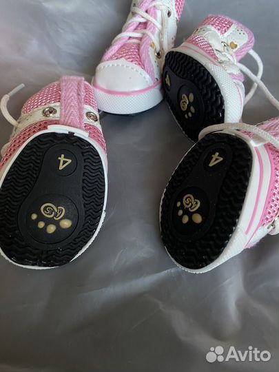 Новые ботиночки для собаки