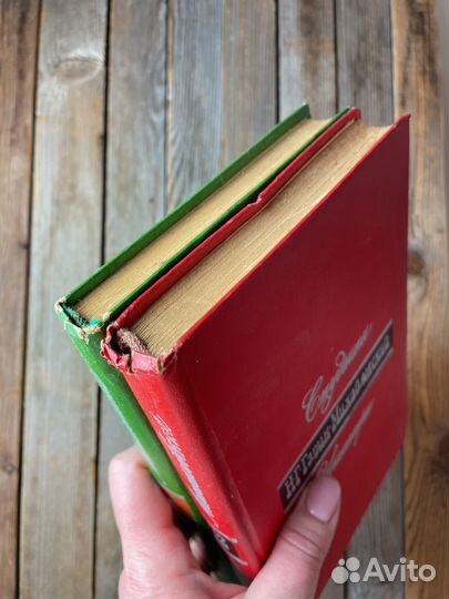 Н. Г. Гарин-Михайловский 