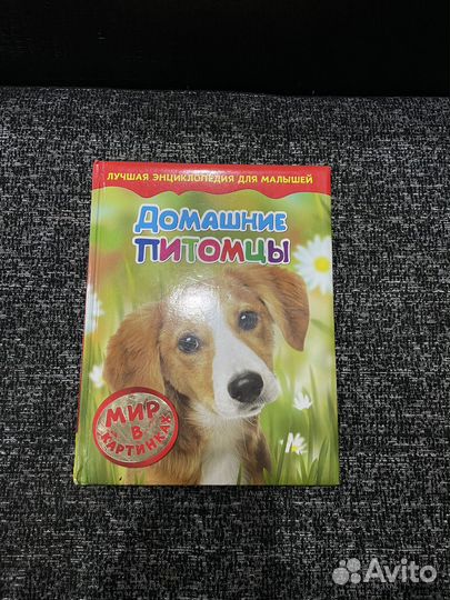 Энциклопедия для детей животные и насекомые