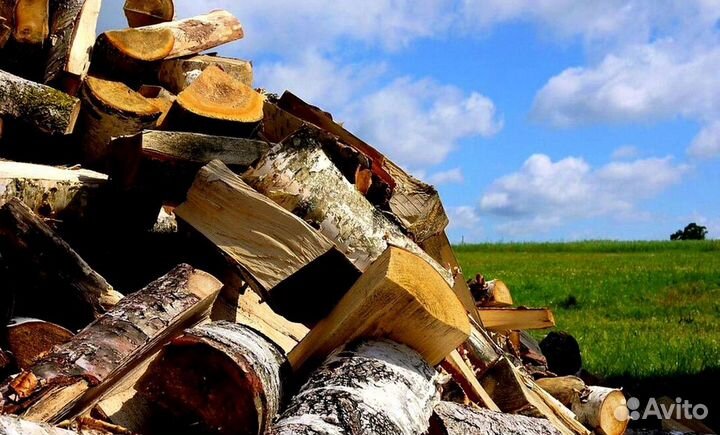 Дрова сухие