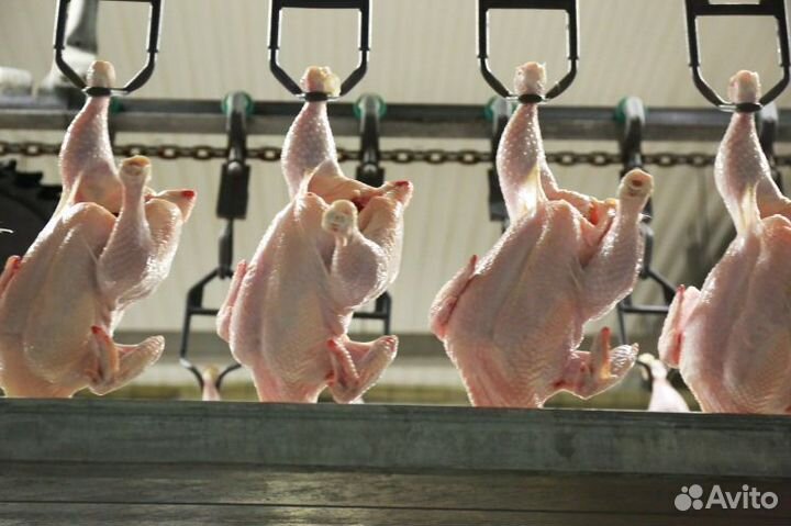 Птицефабрика разнорабочий Вахта нн