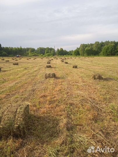 Сено в тюках