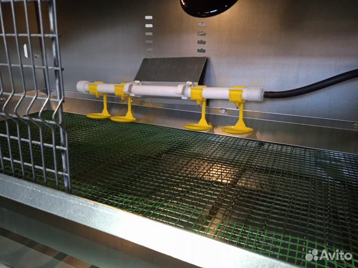 Брудер для цыплят, индюшат, утят, гусят, перепелят