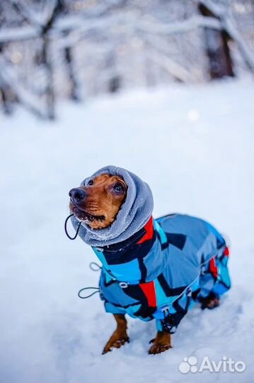 Зимний комбинезон для собаки