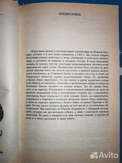 Под покровом пьяного леса