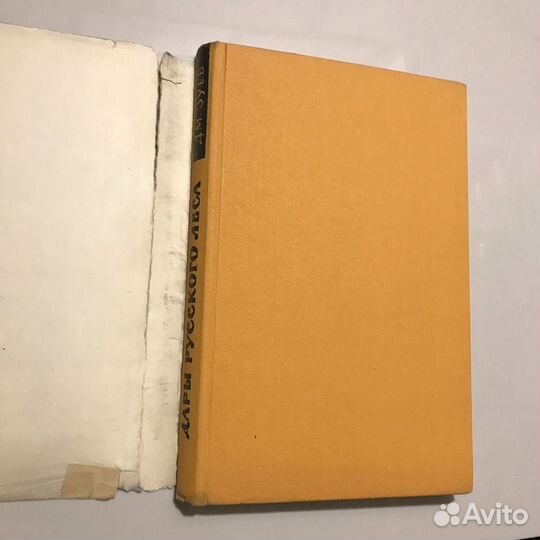 Дары русского леса