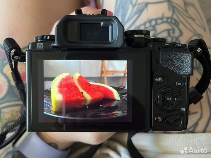 Olympus om d e m10