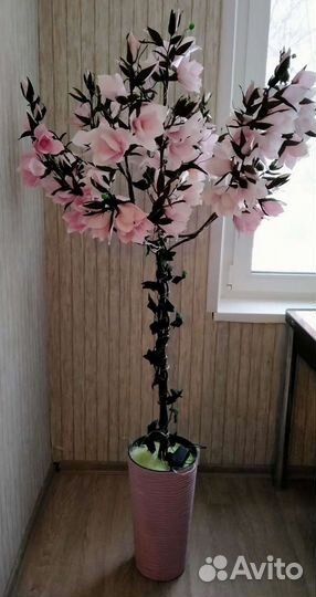 Магнолия-дерево