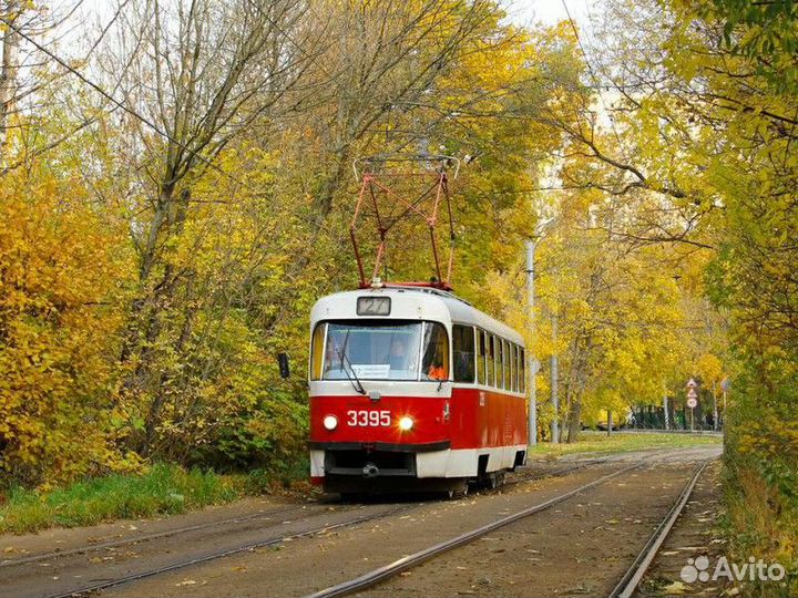 Москва Топ-Экскурсия Легендарная Тимирязевка