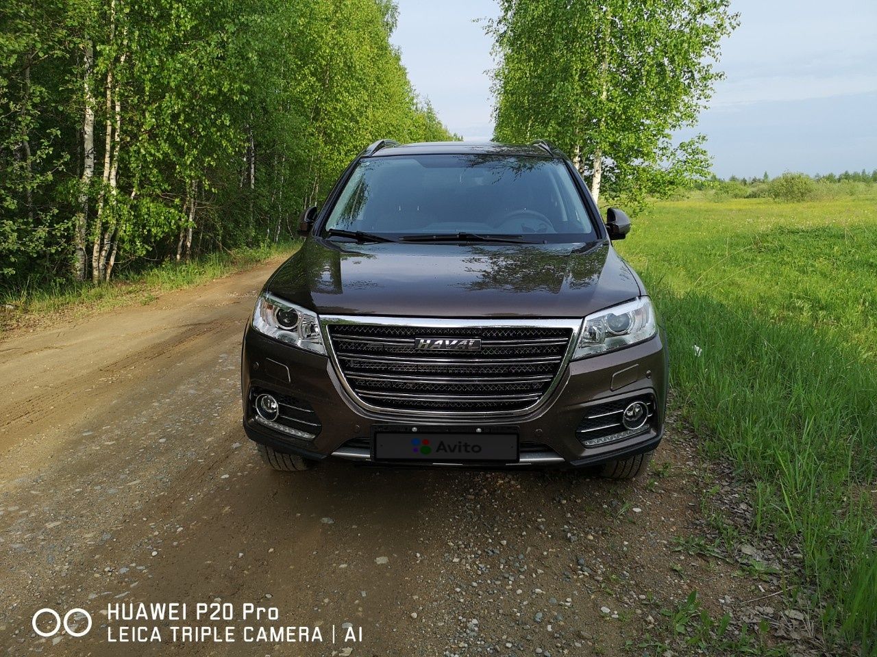 HAVAL H6: фото владельца