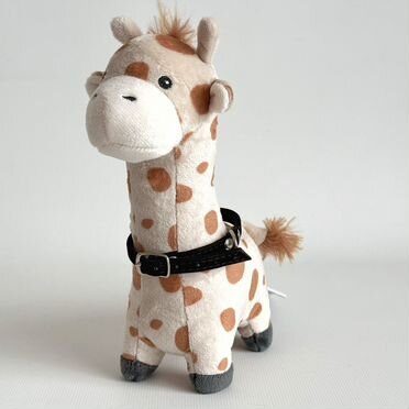 Ошейник для собак мелких пород и щенков бархат