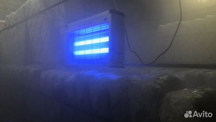 Оборудование для выращивания грибов вешенка