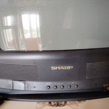 Телевизор бу Sharp 14R-CS с пультом