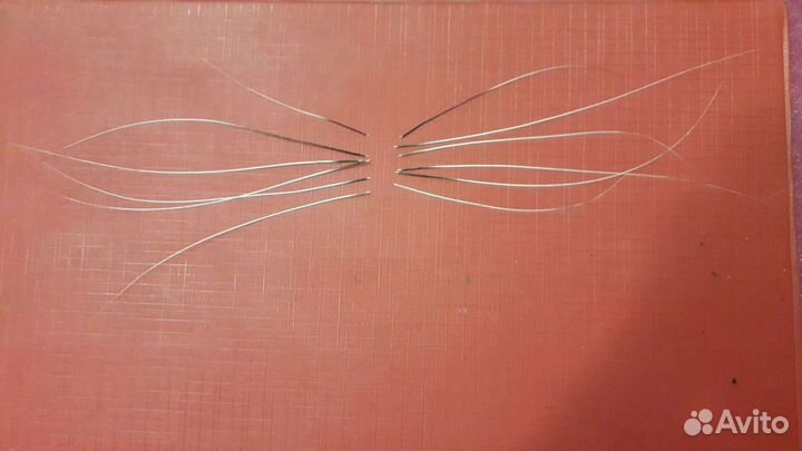 Кошачьи усы