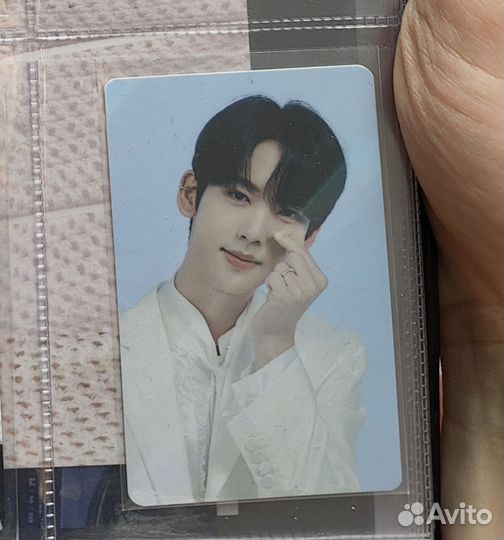 Zerobaseone, Юджин, голо, оф карта, трейдинг