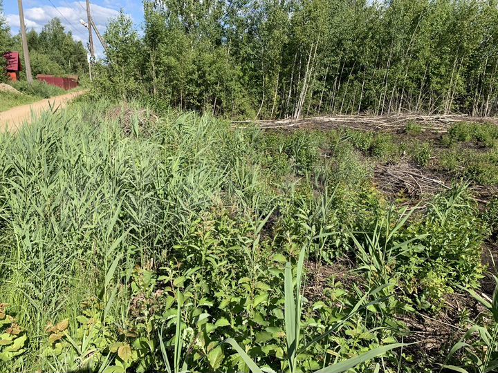 Участок 6 сот. (СНТ, ДНП)