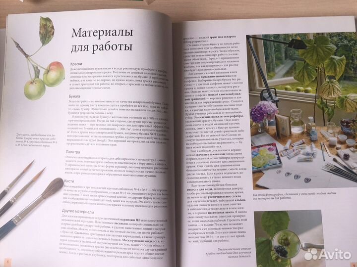 Портреты фруктов и овощей. Билли Шоуэлл