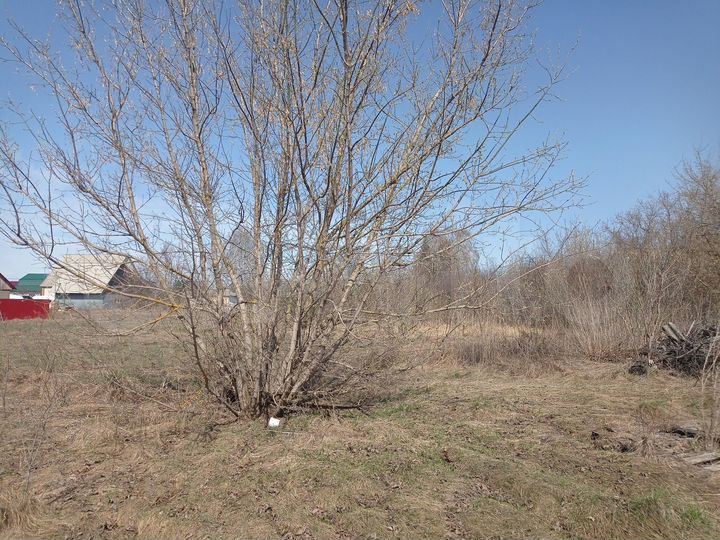 Участок 14 сот. (ИЖС)