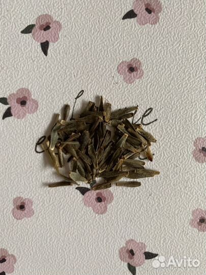 Семена георгина