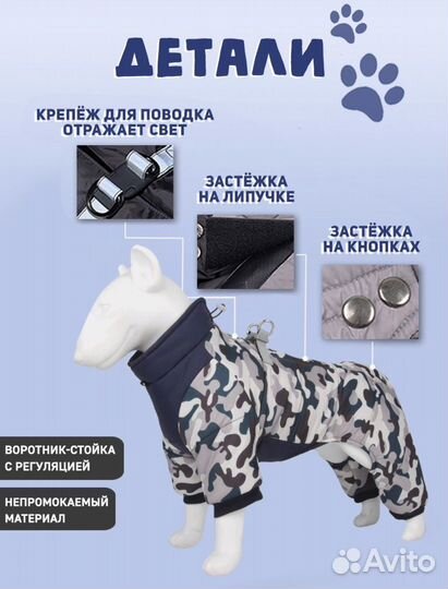 Одежда для собак