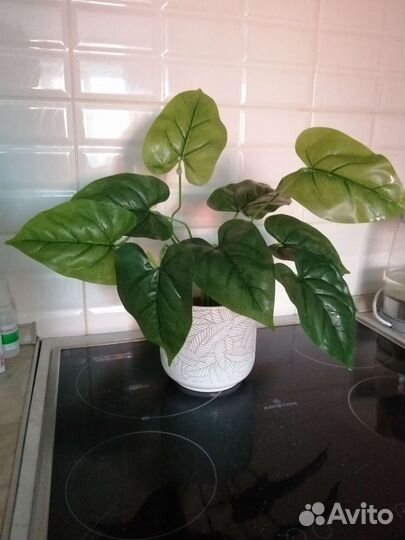 Искусственные цветы IKEA