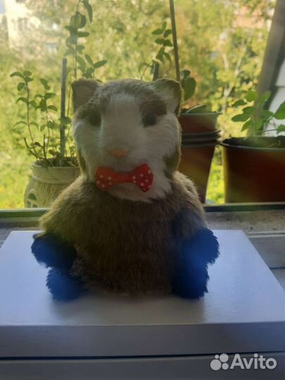 Робот хомячок