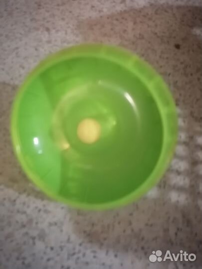 Все для содержания хомячка